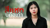 สีแชทบ่คือเก่า - กระต่าย พรรณนิภา【COVER VERSION】