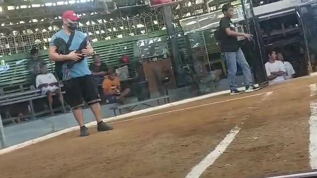 black macrae brassback,ugly but deadly😁