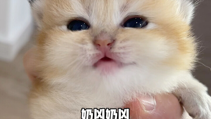 Được đồng hành cùng các bạn trưởng thành thực sự là một điều rất đáng tự hào.