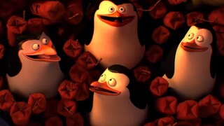 I choose that 5% and give him a hand!