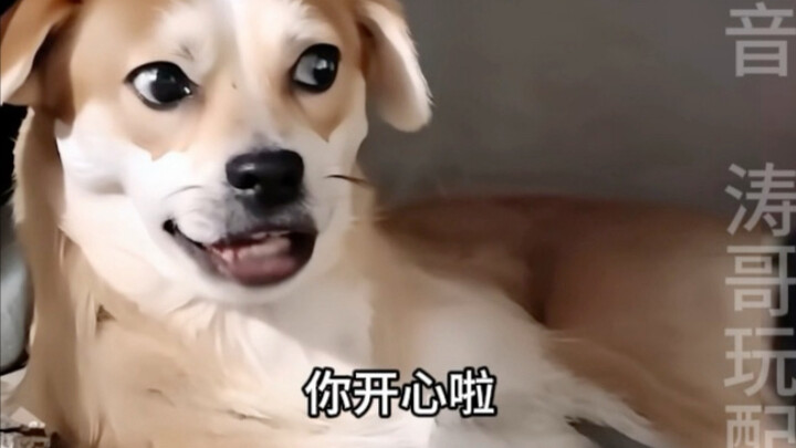 Chó: Giờ thì cậu vui rồi nhỉ!