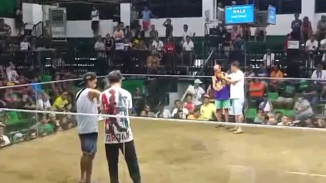 unang bitaw sa sabungan 1st fight win..