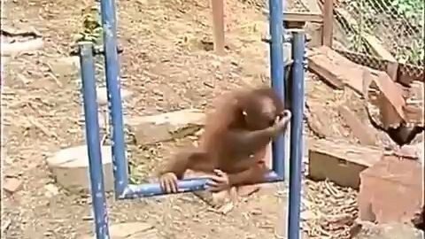 Sometime. When i repeated it more than 10×. it make me sad bro!!😔