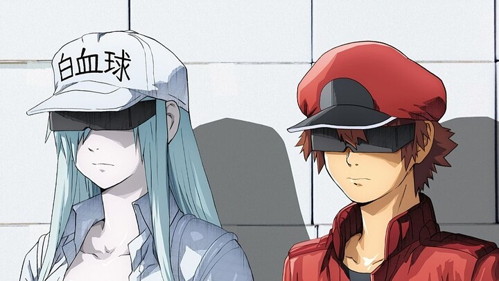 "Cells at Work! BLACK" Opening and Ending Theme Song Full Versions / POLYSICS