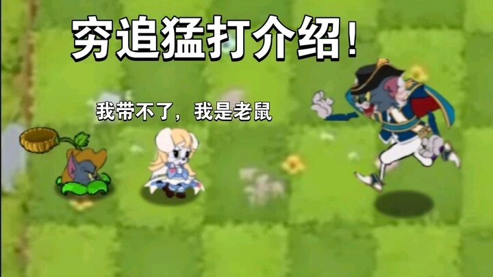 猫和老鼠手游-穷追猛打知识卡介绍