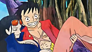 "Có lẽ đây chính là lý do tại sao Robin lại yêu Luffy."