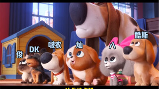 【Film Suara Asli Ci Ren】Anjing Min yang Berani Tidak Takut Kesulitan! Cari saja di Hai Su!