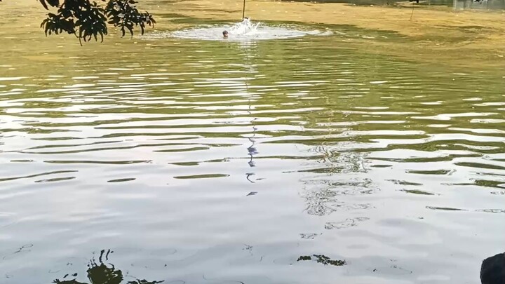 গ্রামীণ জীবন
