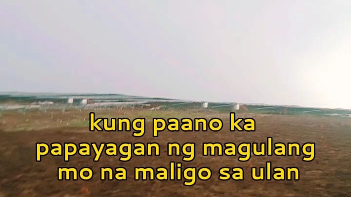 kakamis