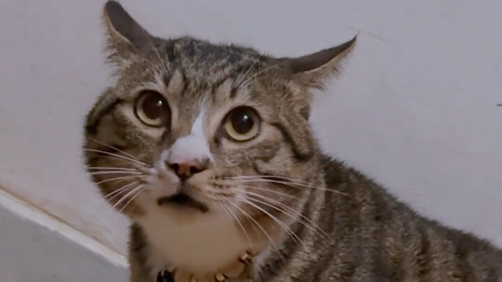 I accidentally felt like it was about to break.