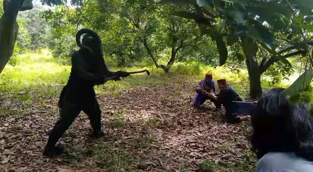 grandonk vs rojali dan eloy