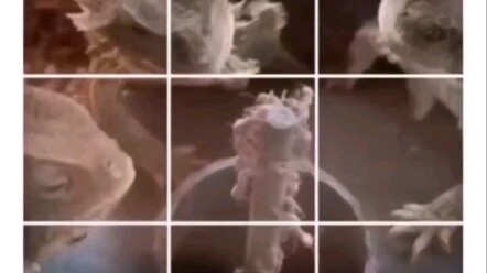 Jangan melampaui batas! Jangan melampaui batas! Jangan melampaui batas!!!