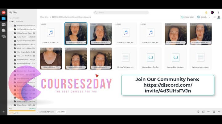 $100K in 10 Days by Cassie Howard (Courses2day.org)