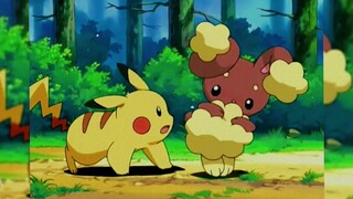 [Pokémon] Curly Curly adalah fangirl nomor satu Pikachu.