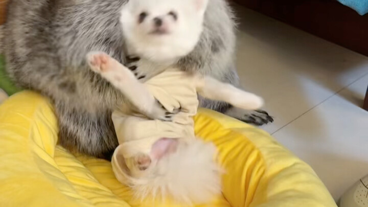 لا بد من تلقي صفعة قوية