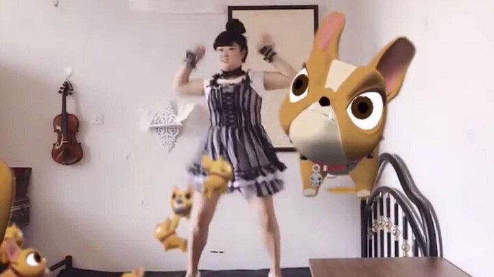 【冷碗碗 x 我不是铁头】魔性小狗舞 跟狗狗挑战跳舞！