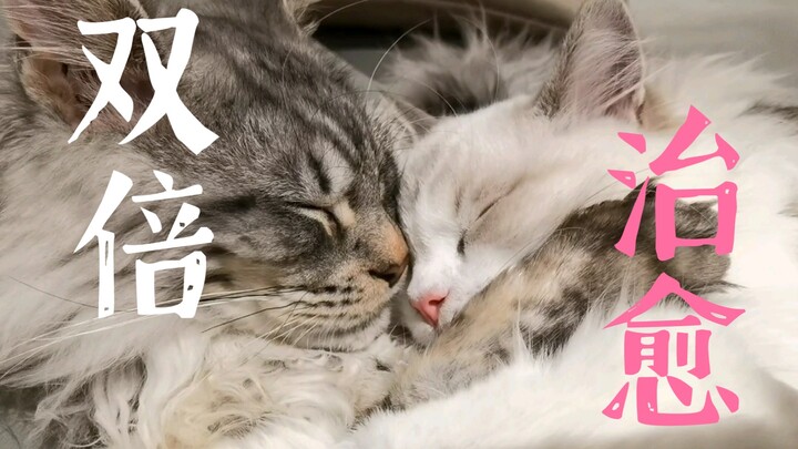 We’re serious about healing you!