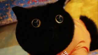 أول عناق في خريف تشيان سوي سوي!