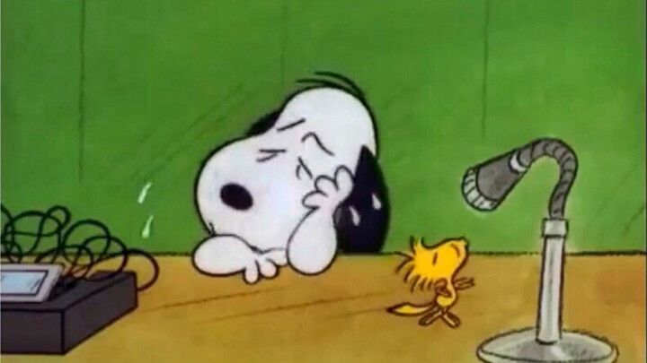 Snoopy is crying
