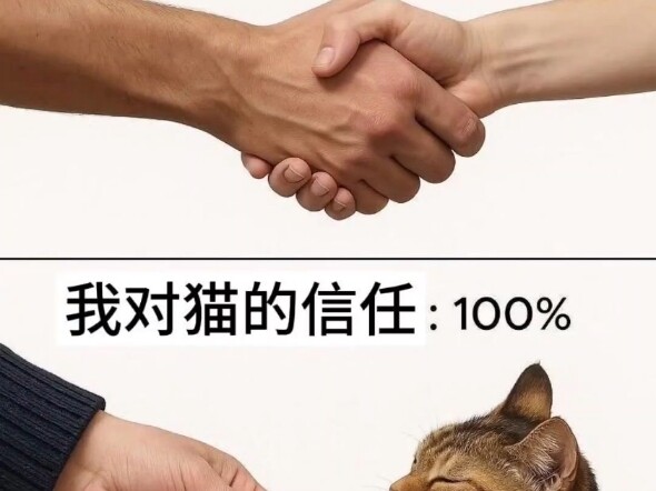 Hình ảnh hài hước 7