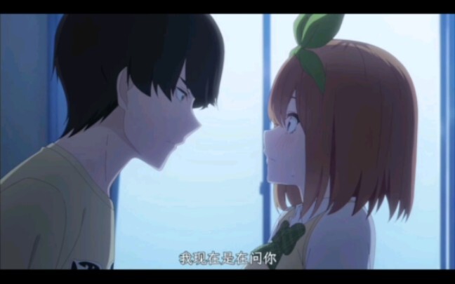 “我无法对你撒谎”