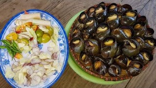 Ốc bươu xào rượu sim. Dịch mà 2 chú cháu làm kho mọi người - Bin Đen Miền Tây # 221