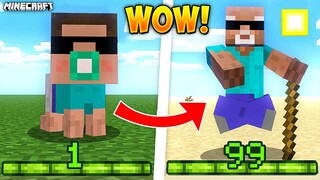 Minecraft But Your XP = Your AGE!