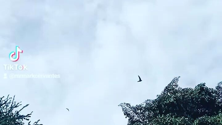 balisasayaw capture in burias island