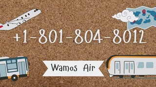 Número de Teléfono de Atención al Cliente de Wamos Air® – Guía Completa Paso a Paso 2025