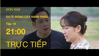 TRỰC TIẾP VTV1 | TẬP 19: Dưới Bóng Cây Hạnh Phúc