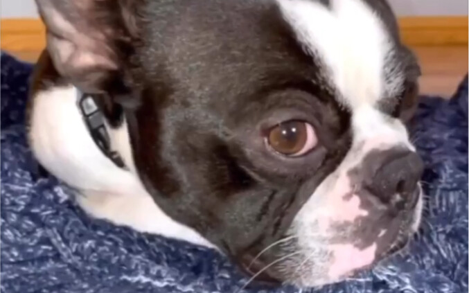 Stay safe while napping at noon!