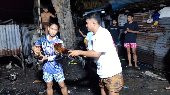 Loss ❤️ boss jl, Texas vs bantam