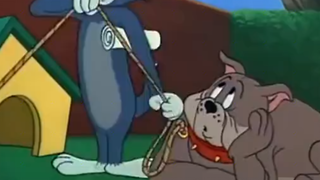 猫🐱和老鼠🐭