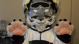 Beli dengan harga nol rupiah, tapi versi ekonomis dari Furui