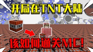 当开局出生在TNT大陆！满地的炸弹，该怎么通关我的世界！