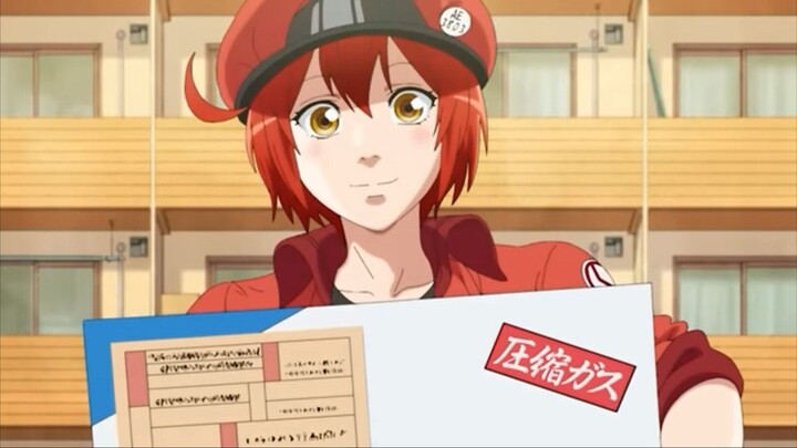 cells at work (bahasa Indonesia)