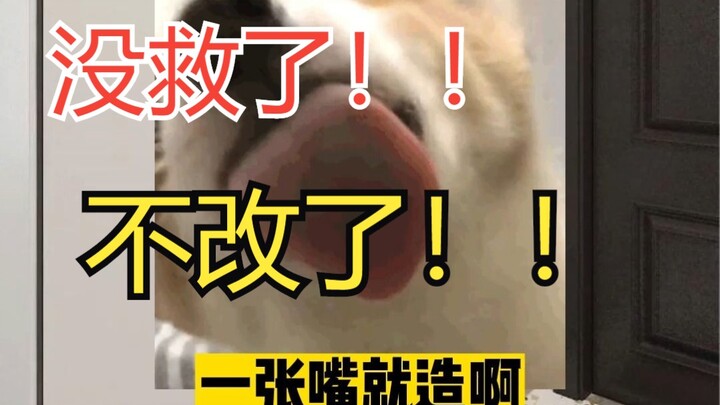 Rescue the Internet’s Silly Renovation Videos, Episode 14! You *Must* Drill These 7 Holes in Your En