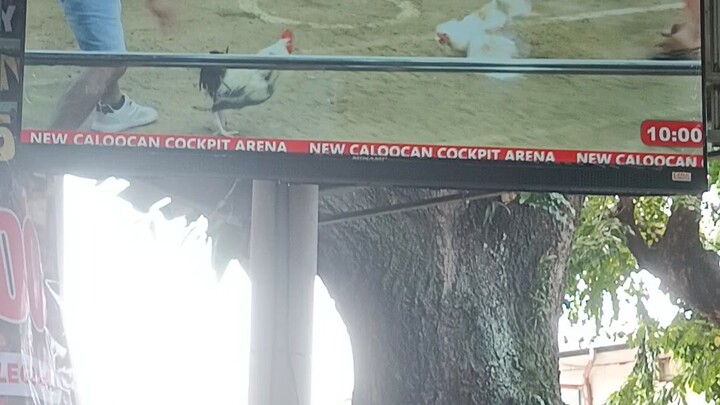 pinatakbo Ang malaki