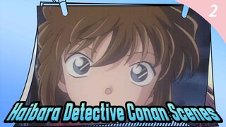 Haibara Detective Conan Scenes_2