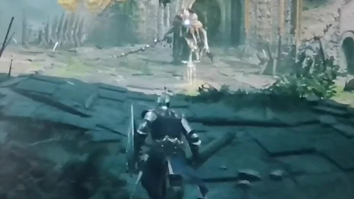 [Eldon's Circle] Shield bounces back in melee combat, no damage or omen