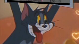 .......