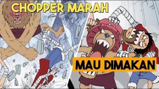 Chopper, Rusa Kecil Berkemampuan Manusia | Alur Cerita One Piece Episode 84