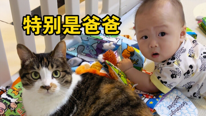 Orang yang bahkan tidak bisa merawat kucing dengan baik, sebenarnya kurang cocok untuk membesarkan a