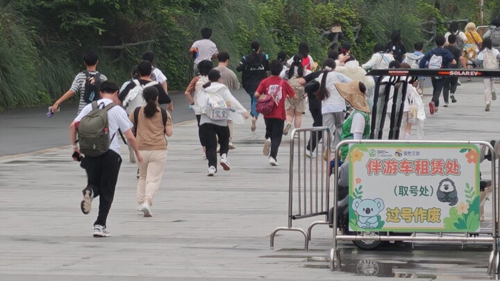 Arknights x Nanjing Hongshan Forest Zoo Collaboration: Opening Day Footage
