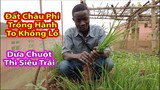 Antonio đi du học làm nông nghiệp||2Q vlogs cuộc sống châu phi