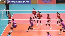 {voli} the wonder coach ep9 (Pink Spider, KYK, Pyo seungju)