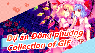 Dự án Đông phương| Sưu tập GIF