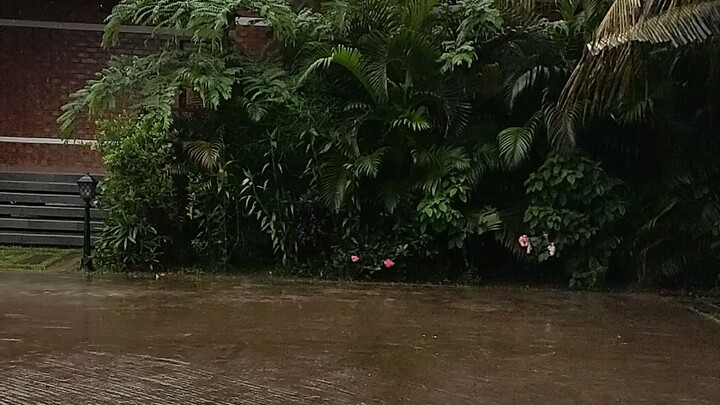 Beautiful rainy day