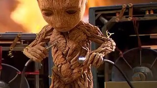 sad groot