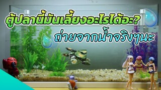 [Stop Motion]What Can Happen In A Fish Tank?